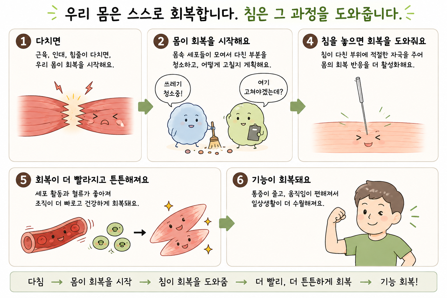 근육과 인대, 힘줄이 다쳤을 때 몸의 자연 회복반응과 침 자극이 그 과정을 돕는다는 내용을 설명한 만화